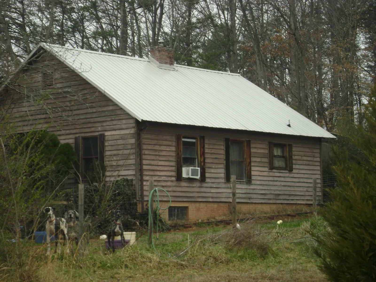 White metal roof on an old wood sided farmhouse, from a Asphalt Shingle Roof Repair job in Amherst